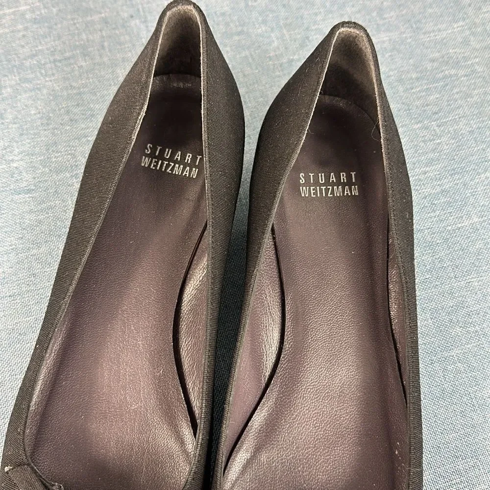 Stuart Weitzman these are